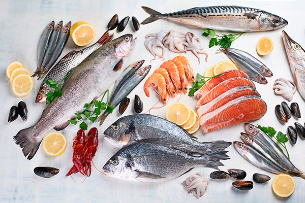 Peixe e frutos do mar odyssey international