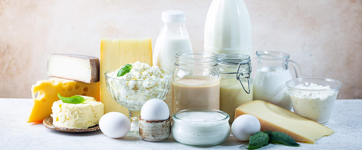 Our Dairy Products